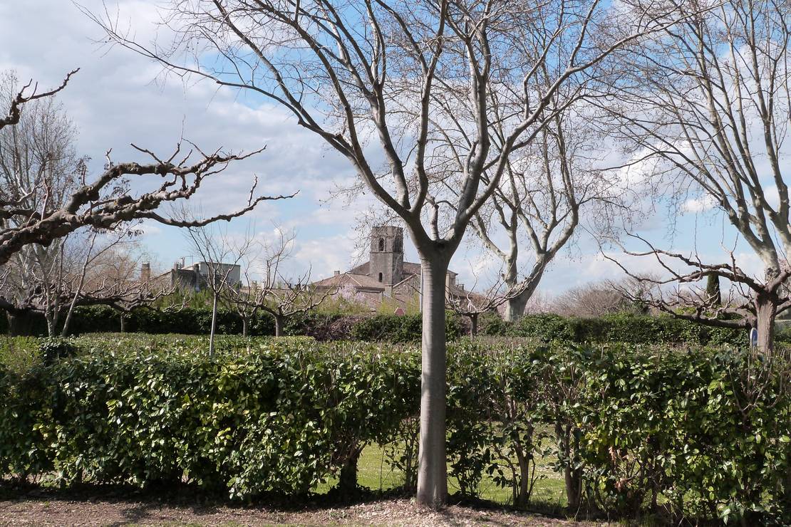 Camping Les Romarins 8