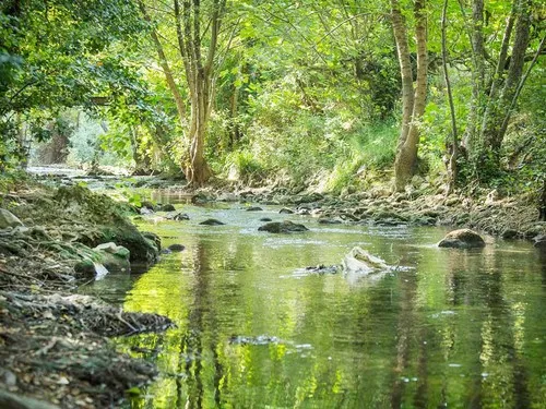 Camping Les Tomasses 5