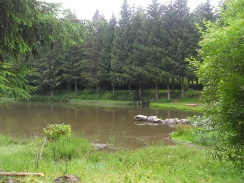 Camping L'etang De Flechat 3