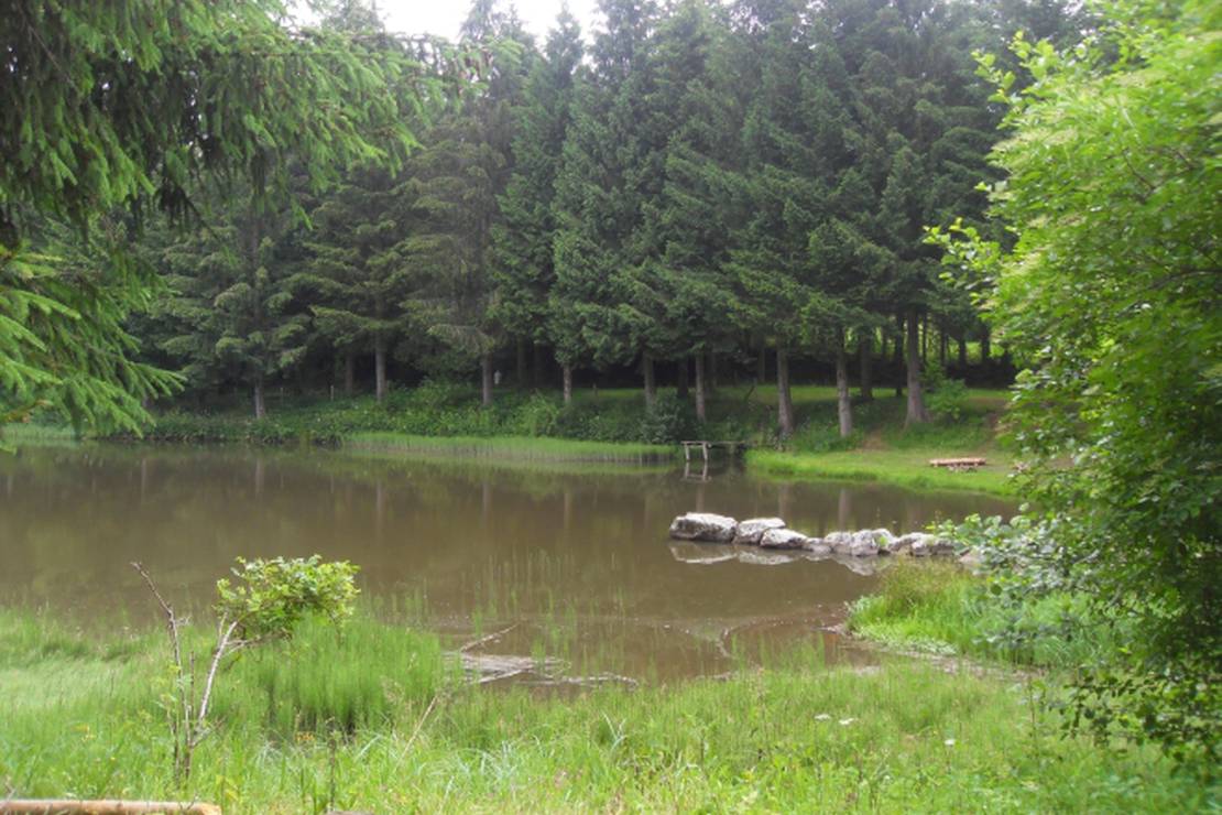Camping L'etang De Flechat 4
