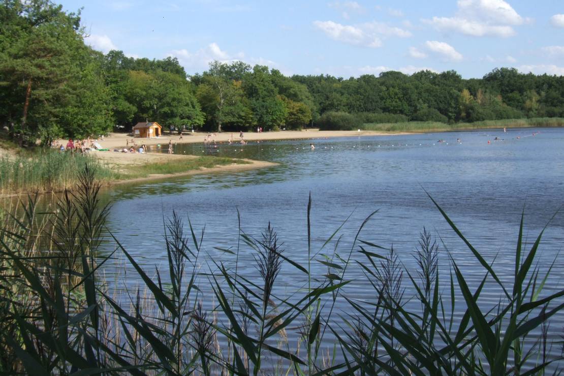 Camping Seasonova l'Étang des Bois 4