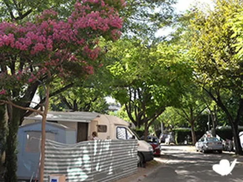 Camping L'hippodrome 4