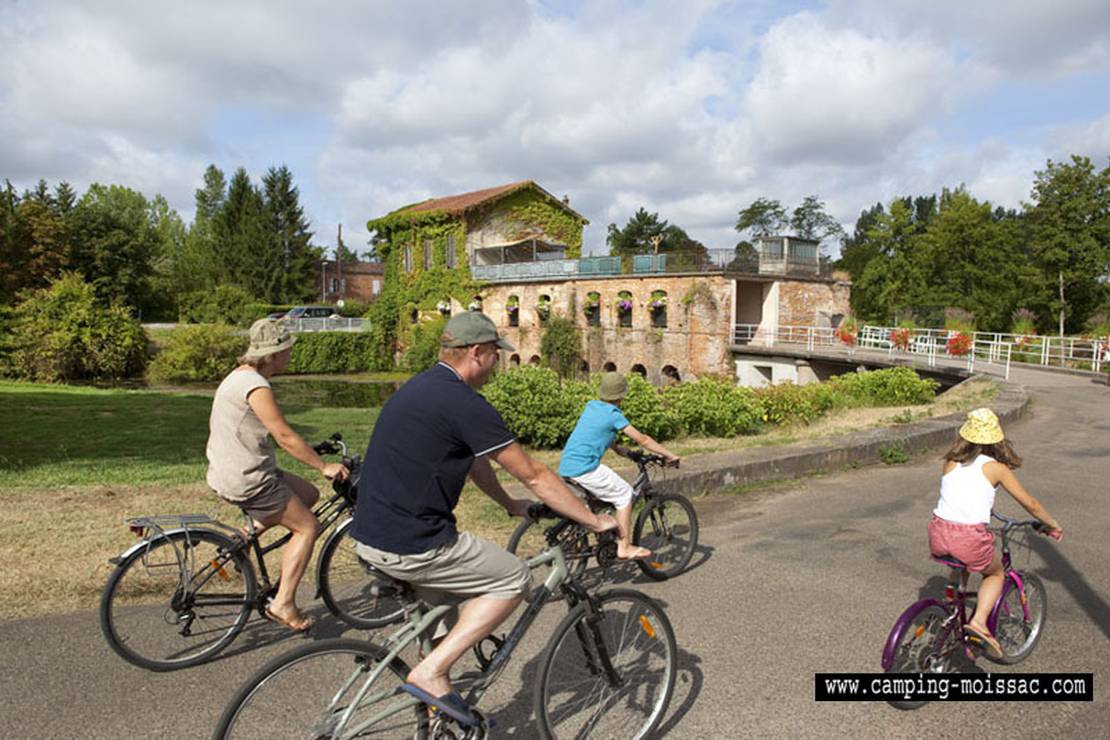 Camping L'ile Du Bidounet 5