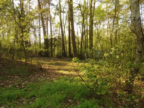 Camping Lindemühlenberg 7