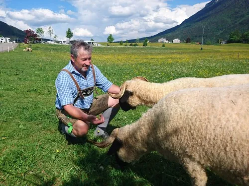 Camping Lindlbauer 7