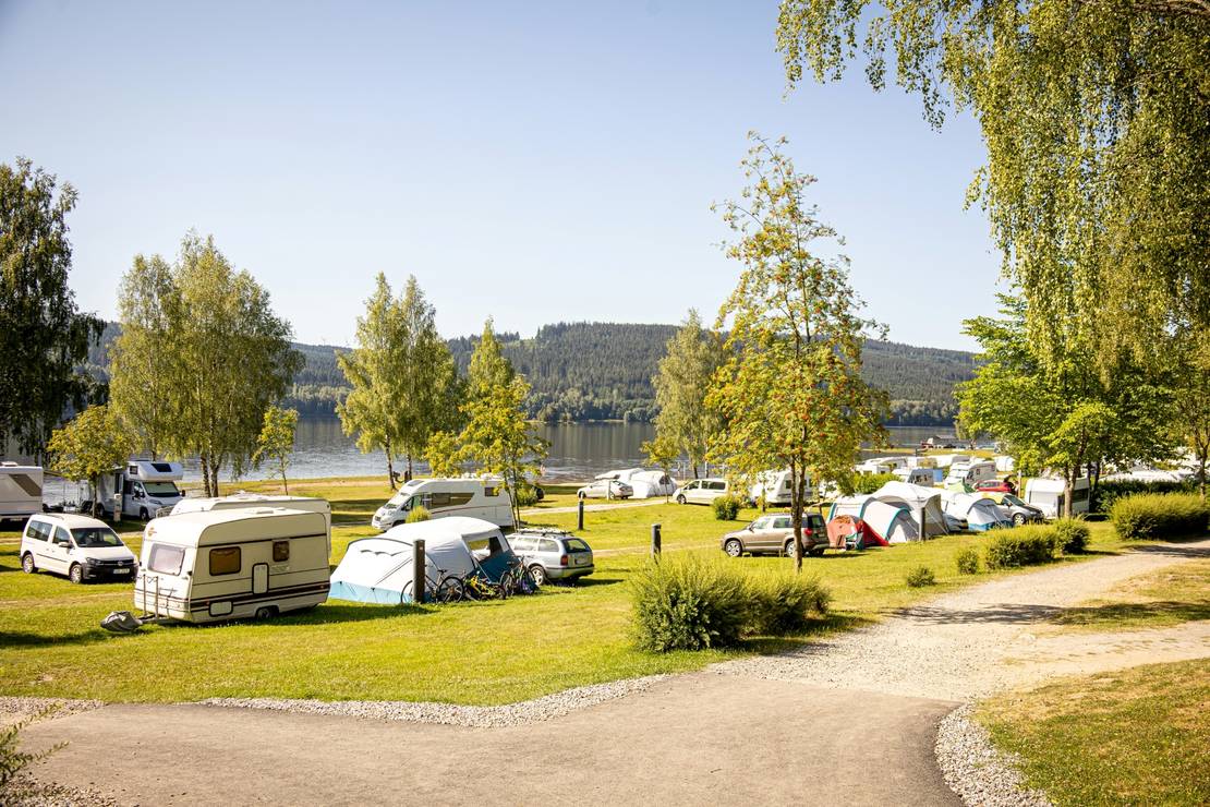 Camping Lipno Modřín 5