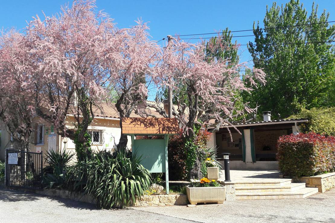 Campingplatz Camping l'Oasis du Verdon in ProvenceAlpesCôte d’Azur