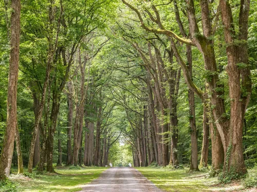 Camping L’Orangerie de Beauregard 5