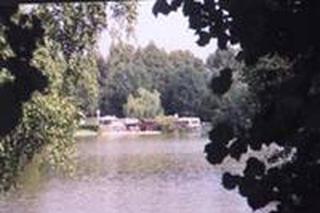 Camping L'orée du Parc - Le Fleury 5