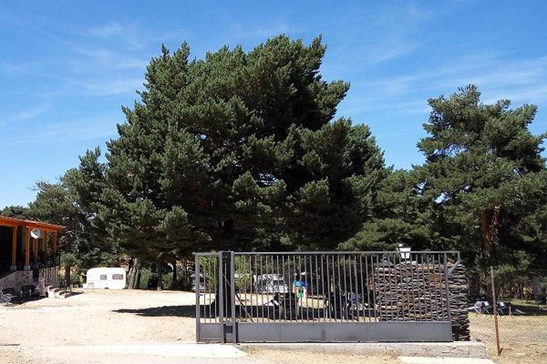 Camping los Bonales 4