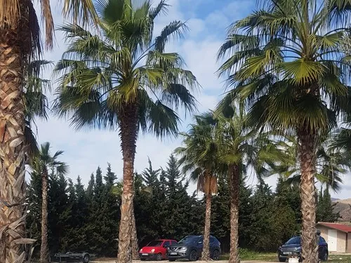 Camping los Delfines 4