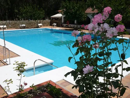 Camping los Eucaliptos 5