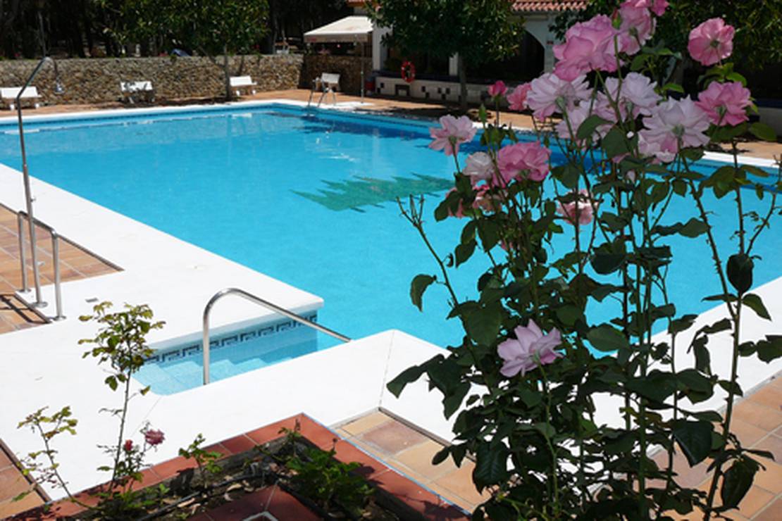 Camping los Eucaliptos 6