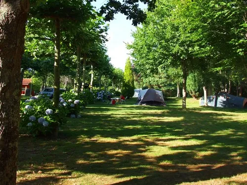 Camping los Manzanos 5