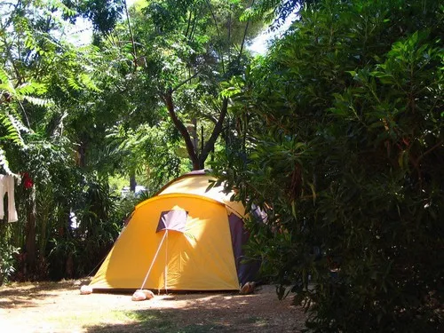 Camping los Pinos 5