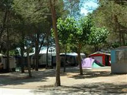 Camping los Pinos 3