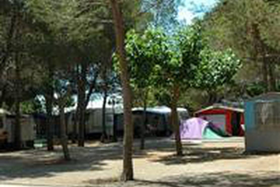 Camping los Pinos 4
