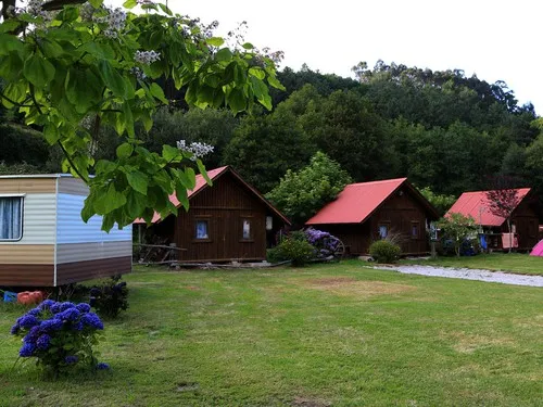 Camping Los Pradones 3