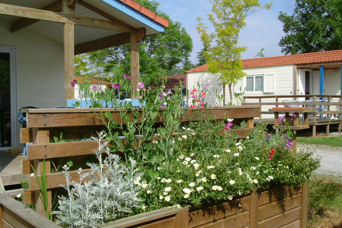 Camping Lou Bascou 4