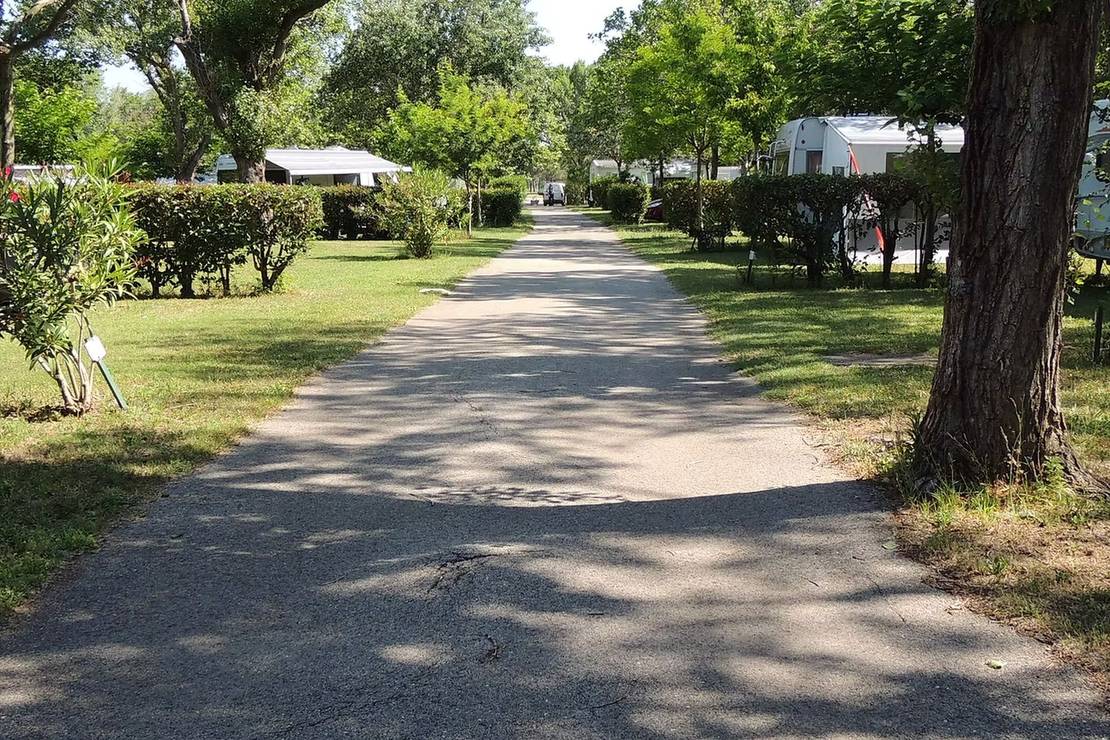 Camping Lou Vincen 5