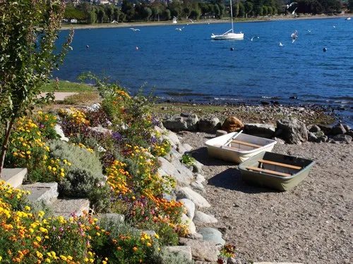 Camping Magic Lake 6