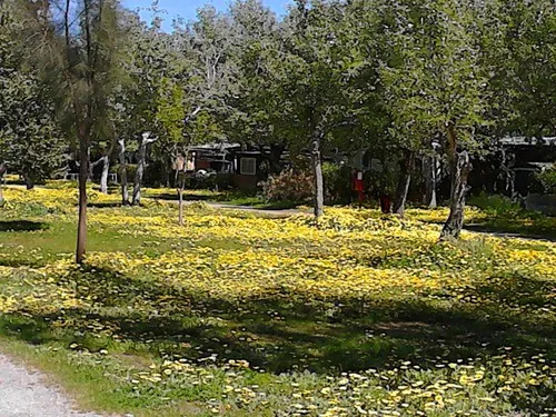 Camping Malvarrosa de Corinto 7