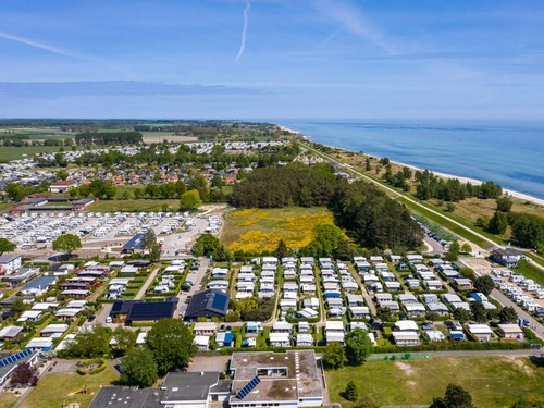 Camping Mare image 1