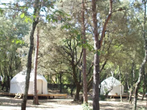 Camping Mille étoiles 3