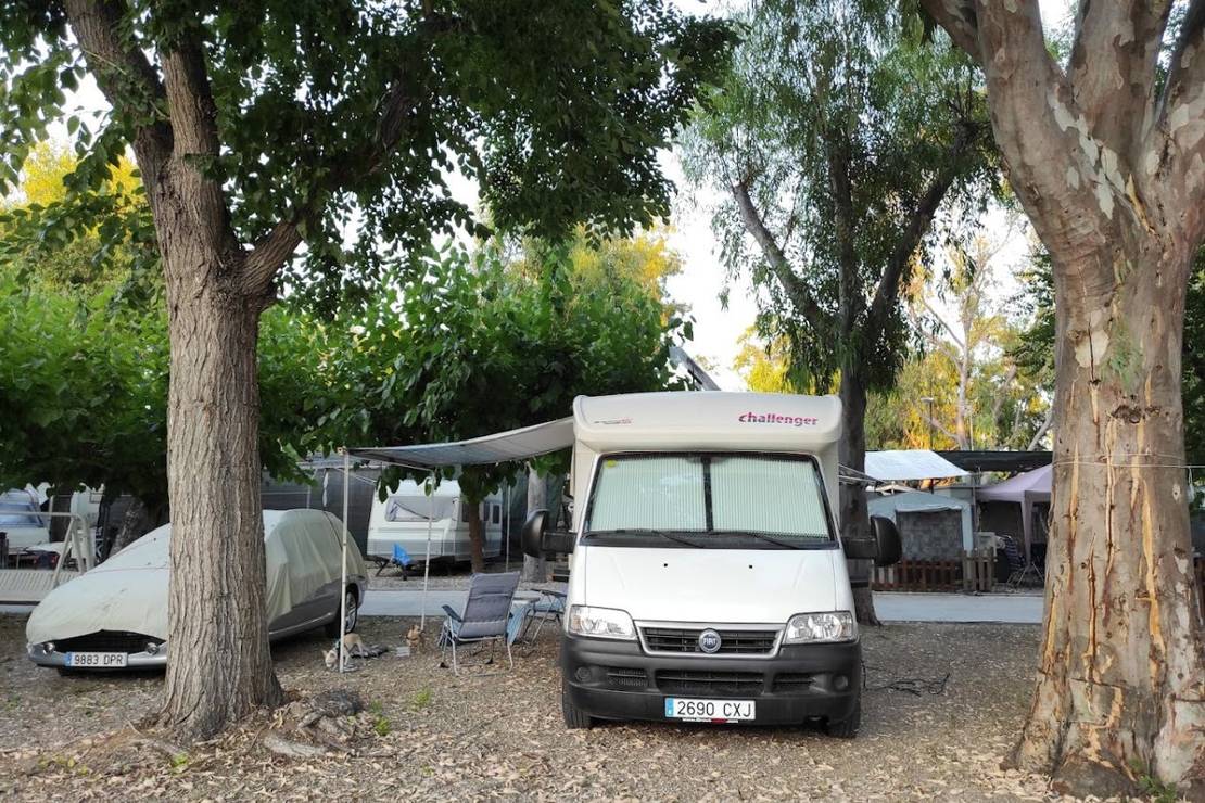 Camping & Glamping Miramar Playa 4