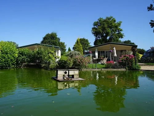 Camping Molengroet 5