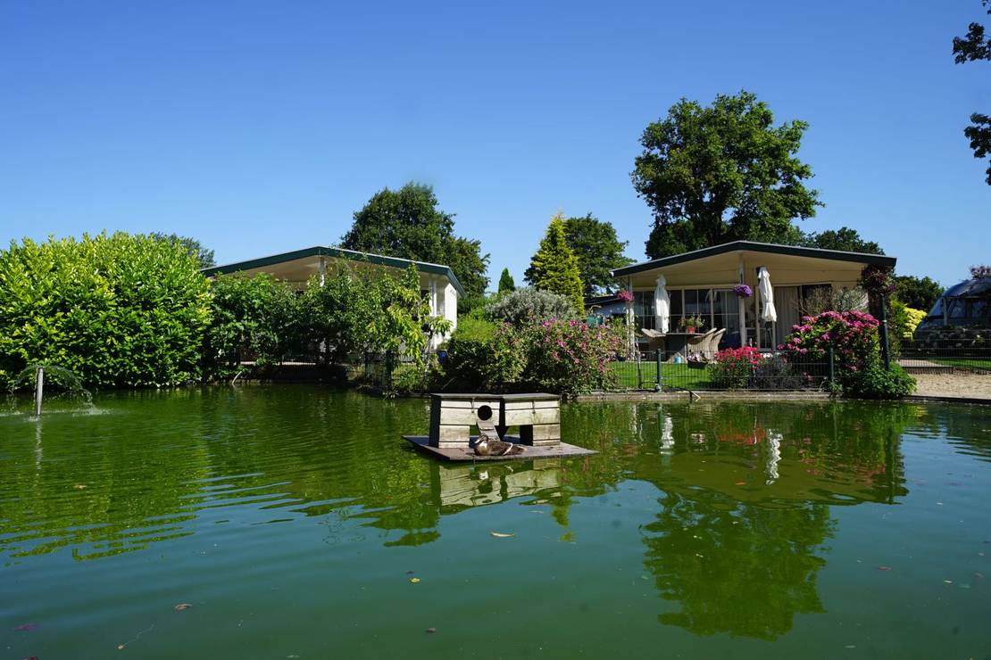 Camping Molengroet 6