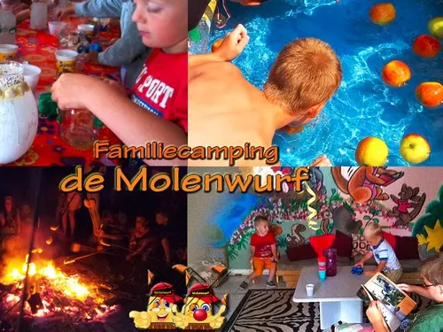 Camping Molenwurf 5