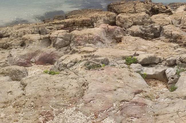 Impressionen