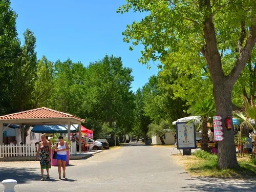 Camping Montpellier Plage 5