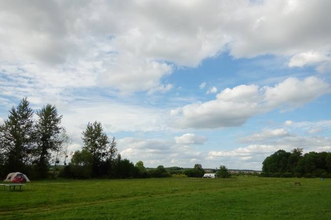 Field
