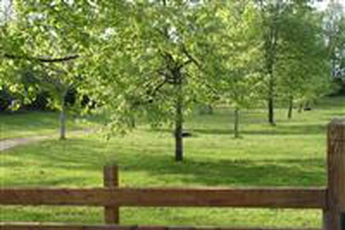 Campingplatz Camping Municipal in Auvergne-Rhone-Alpen - camping.info Campingplatz Camping Municipal in Auvergne-Rhone-Alpen - camping.info