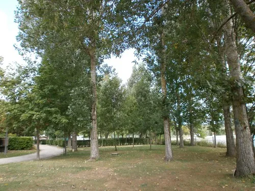 Camping Municipal De Fontclaire 5