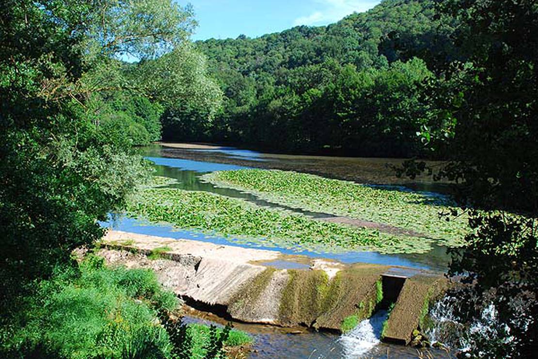 Camping Municipal De Layoule 5