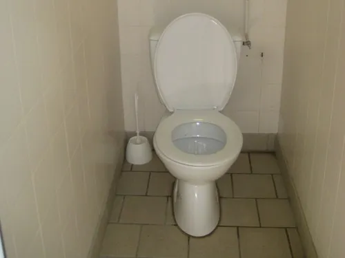 Camping Municipal De L'Île D'Or 6