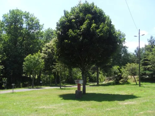 Camping Municipal De Stalapos 4