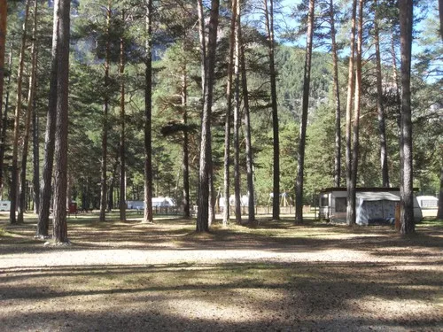 Camping Municipal Du Bois Des Alberts 4