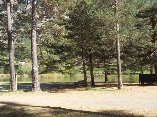Camping Municipal Du Bois Des Alberts 6