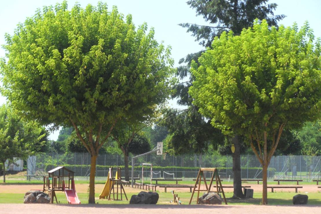 Camping Municipal Du Gue De Loire 5