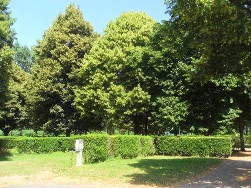 Camping Municipal Du Gue De Loire 6