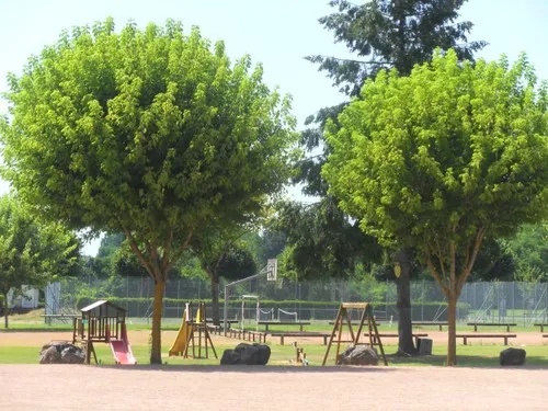 Camping Municipal Du Gue De Loire 4