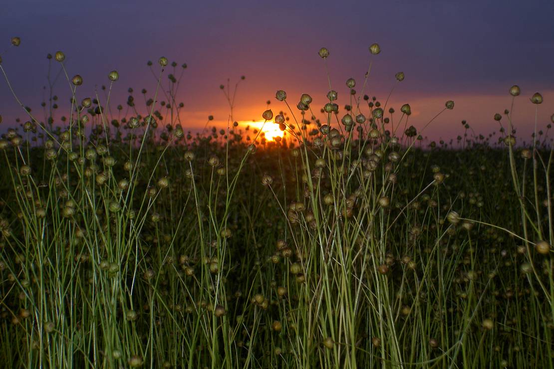 Camping Municipal Du Mesnil 5