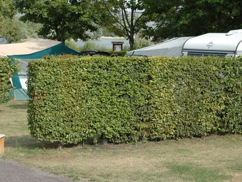 Camping Municipal Du Parc 6