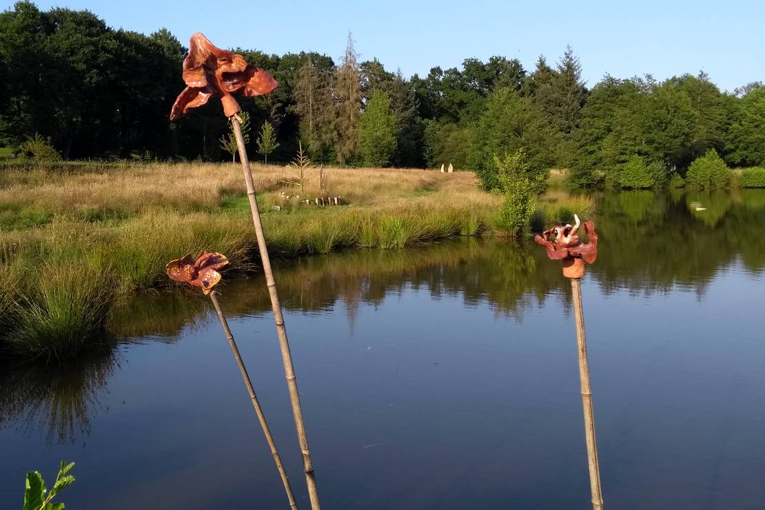 Camping Municipal Du Val Aux Fees 4