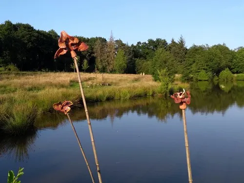 Camping Municipal Du Val Aux Fees 3