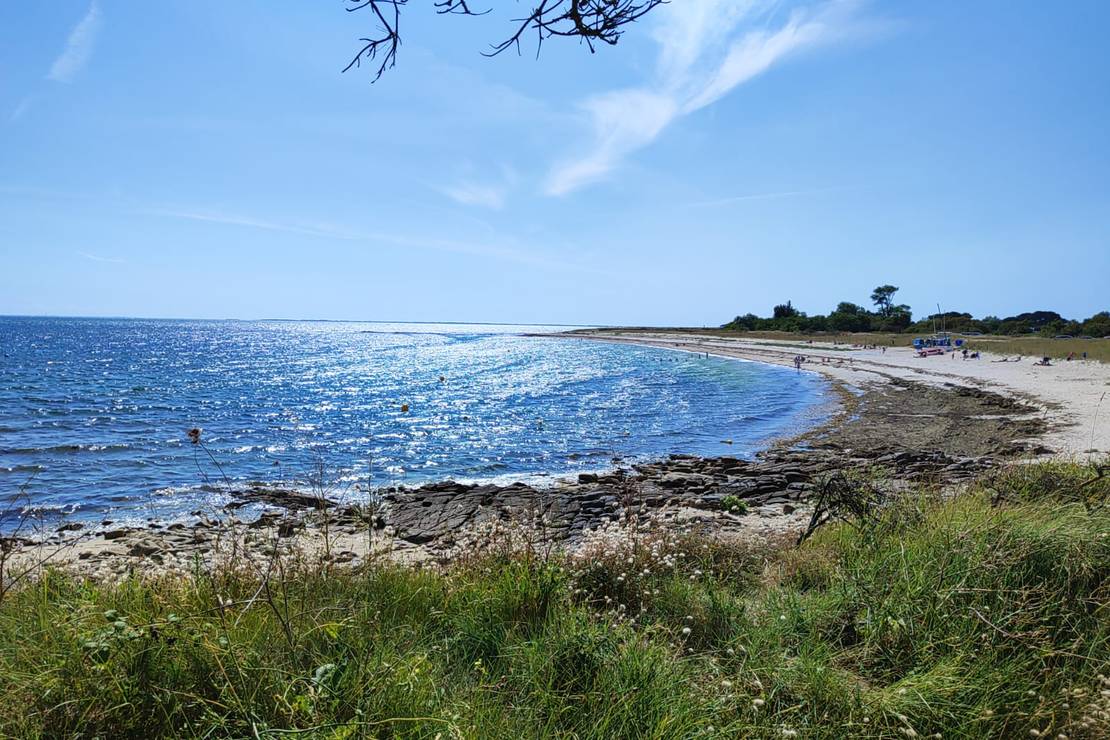 Camping Municipal La Falaise 6